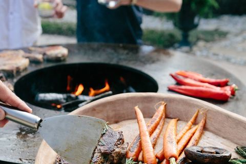 Гриль вогнище з круглим диском для жарки